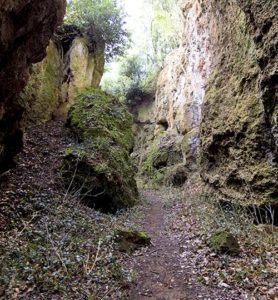 Tagliate-Etrusche-Sutri-vie-cave